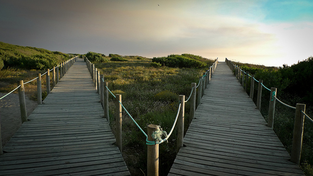 Cambiar de #carrera… ¿misión&nbsp;imposible?